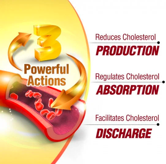 LABO Nutrition CholRestore 90 veggie capsules