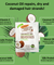 Palmer’s Coconut Oil Deep Conditioning Protein Pack (60g) X 2 with FREE PALMERS SAMPLES