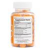NATURES PLUS TURMERIC CURCUMIN GUMMIES 60 GUMMIES