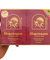 "THOMSON LIVRIN caplets 30 + 30 tablets - Milk thistle extract from Europe with 240mg of Silymarin and 90mg of silybin A & B"