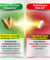 LABO Nutrition VesseCLEAR CX 60 veggie capsules