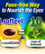 LABO Nutrition VisionREGAIN 30 softgels