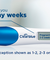 Clearblue Digital Pregnancy Test with Conception Indicator