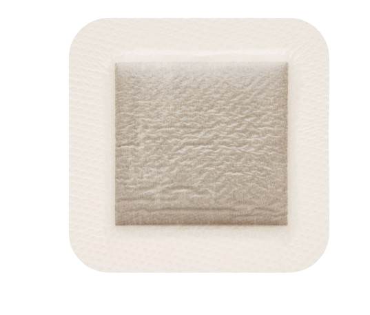 MOLNLYCKE Mepilex Border Ag 10x25cm 5s