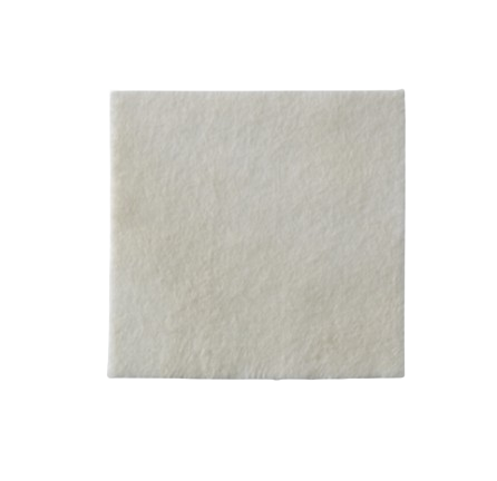 COLOPLAST BIATAIN ALGINATE AG DRESSING 10 X 10 CM 10'S