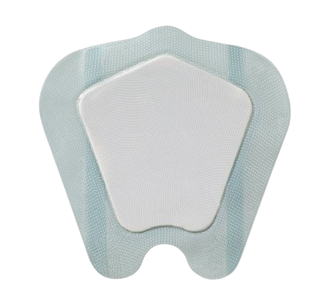 COLOPLAST BIATAIN SILICONE SACRAL 25 CM X 25 CM 5'S