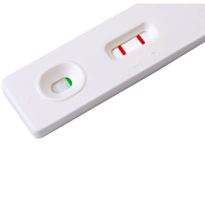 Dbest Pregnancy Test Cassette 1s x 2 - Twin Pack