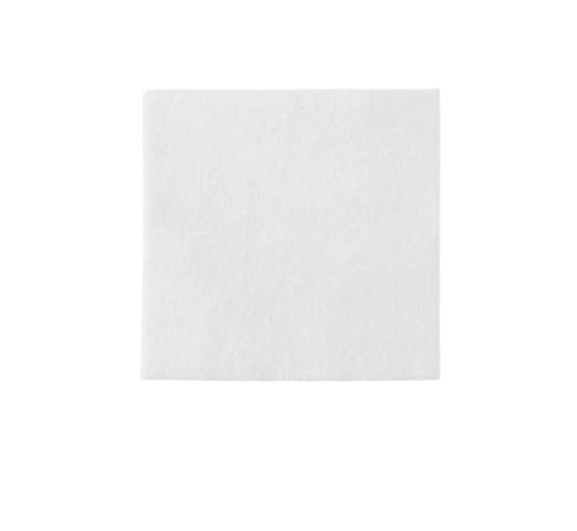 COLOPLAST BIATAIN ALGINATE AG DRESSING 10 X 10 CM 10'S