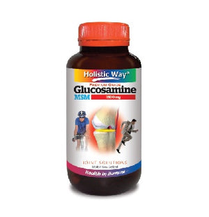 HOLISTIC WAY Glucosamine 1500mg + MSM 90s Capsules